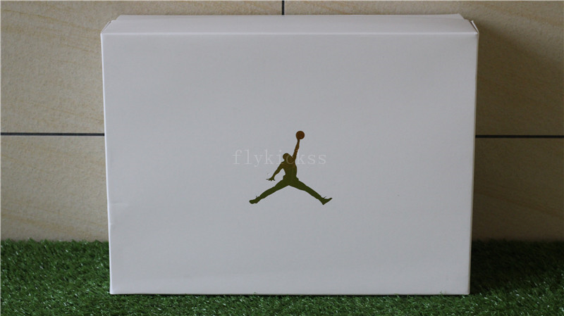 Air Jordan 12 White OVO New